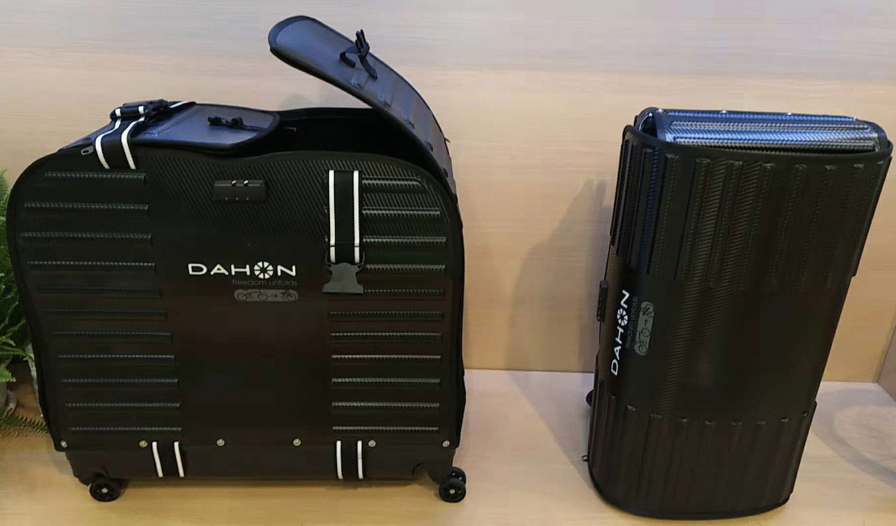 dahon luggage