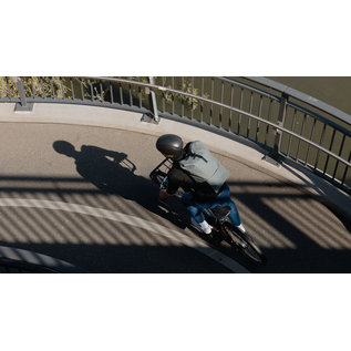 Brooks Brooks Cambium C67