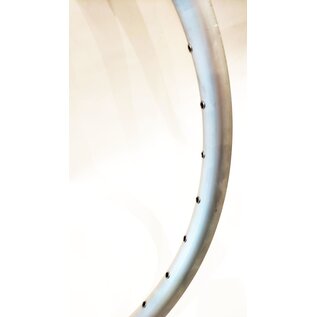 GENERIC Generic 26" DW, 36H, Disc Specific - Silver