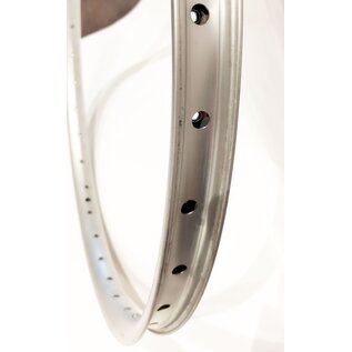 GENERIC Generic 26" DW, 36H, Disc Specific - Silver