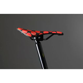 Brompton 2025 Brompton P Line Tour de France