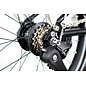 Brompton 2026 Brompton C Line Explore 12-speed - Low/Rack - Black