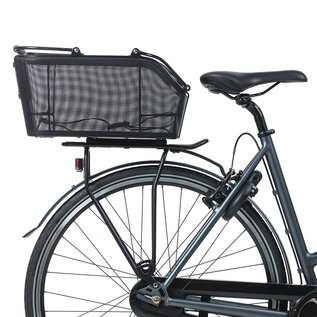 Basil Basil, Cento, Basket, Black