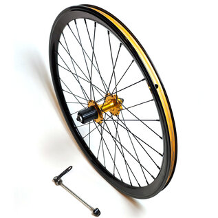 Dahon Dahon 24" Rear Wheel, Cass, Disc 6-bolt