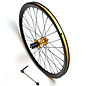 Dahon Dahon 24" Rear Wheel, Cass, Disc 6-bolt