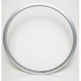 GENERIC 20", Alloy, SW, 36H, Silver, Shining