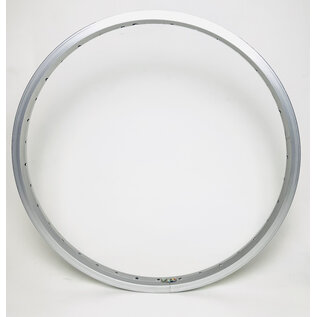 20", Alloy, SW, 36H, Silver, Shining