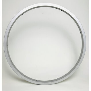 Dahon 20", X-rims  C1000 Alloy, SW, 28H, Silver