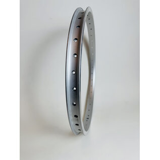 GENERIC 20", Alloy, 406x25mm DW, 36H, Silver