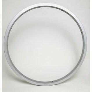 GENERIC 20" /406 mm, HJC 406x24mm SW,  36h,  Brake Surface - Silver