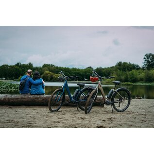 Norco 2025 Norco Scene VLT - Grey