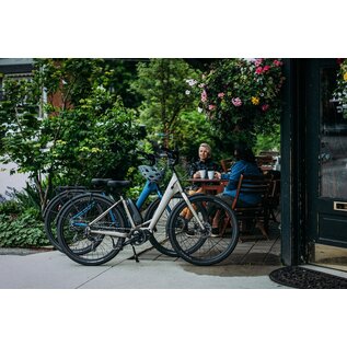 Norco 2025 Norco Scene VLT - Grey