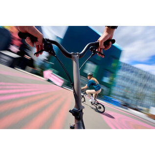 Brompton 2026 Brompton T Line Urban 4spd - Raw - Mid