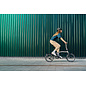 Brompton 2026 Brompton T Line Urban 4spd - Raw - Mid