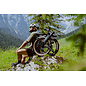 Brompton 2026 Brompton G Line - Forest Green