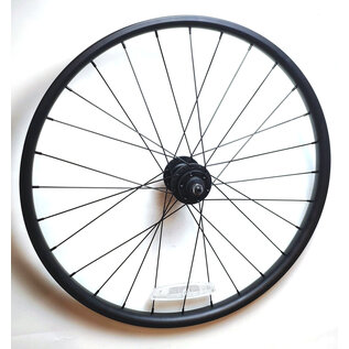 GENERIC Generic 24" Rear Disc Specific 6-Bolt Wheel - Black