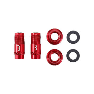 BBB Cycling BBB Cycling, BTI-165 CoreCap, Tubeless Valve, Red, Pair