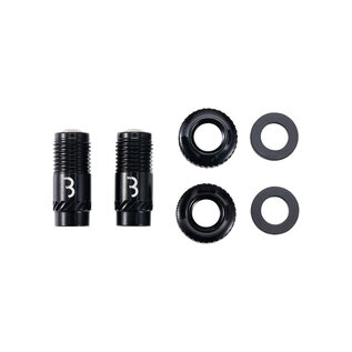 BBB Cycling BBB Cycling, BTI-165 CoreCap, Tubeless Valve, Black, Pair
