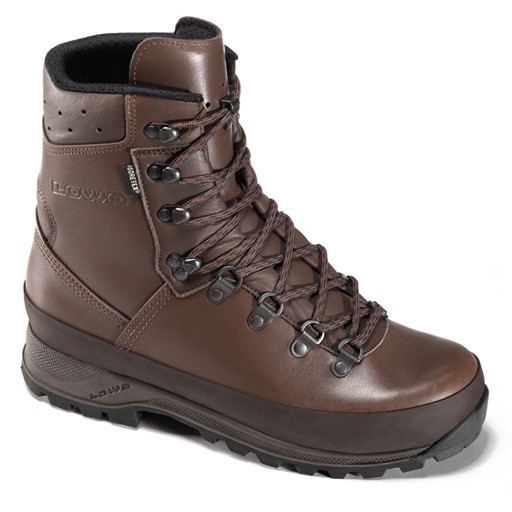 mountain boot gtx