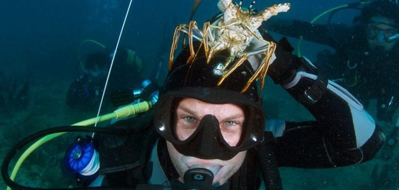 Lobster Fever Is Catching Among South Florida SCUBA Divers