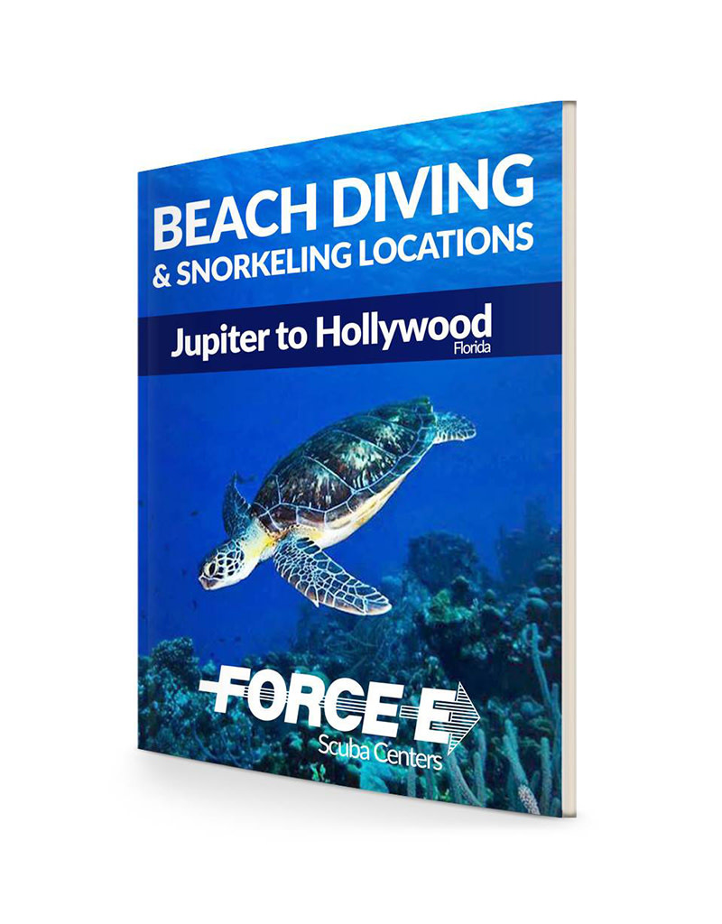 Force-E Beach Diving & Snorkeling Locations