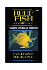 New World Publications Reef Fish ID Caribbean Book