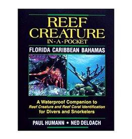 New World Publications Creature-In-A-Pocket Caribbean Book