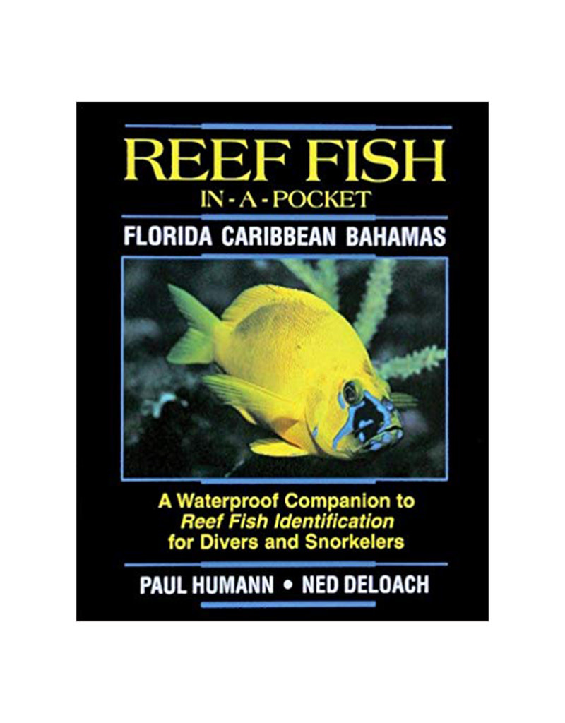 New World Publications Fish-In-A-Pocket Florida Caribbean Book