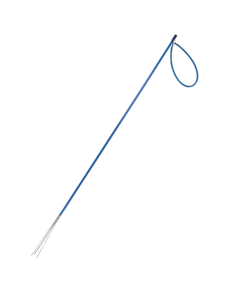 Trident Fiberglass Pole Spear - 4 ft.