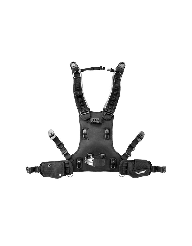 AquaLung AquaLung Rogue Back Assy