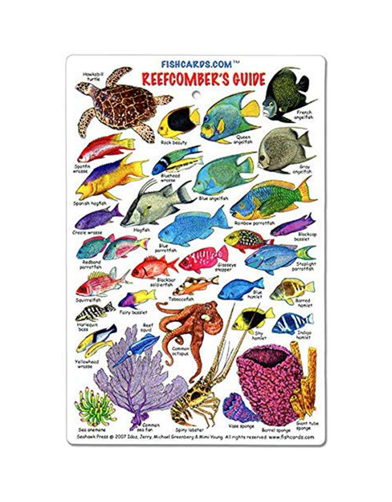 Marine Sports Mfg. Marine Sports Reef Comber Guide Card
