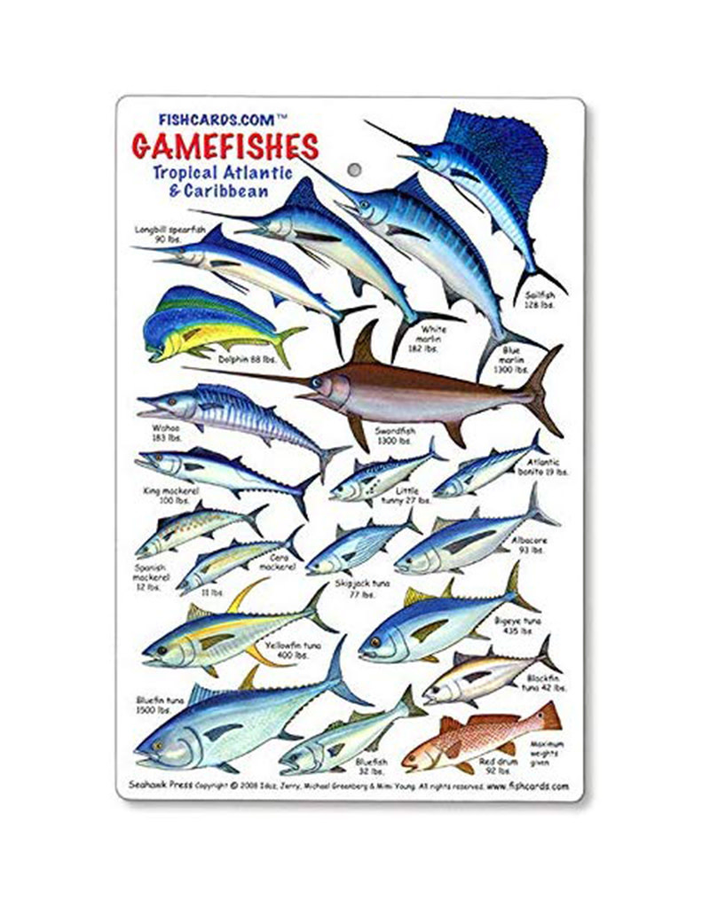 ID Game Fish Card