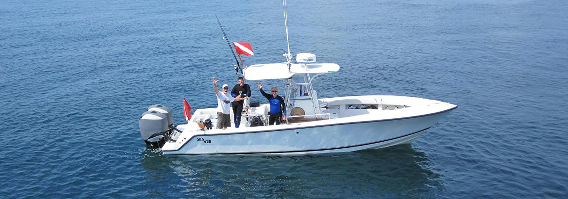 Private boat or dive charter: Dive it All