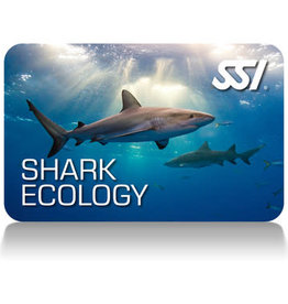 Force-E Scuba Centers Shark Ecology Course