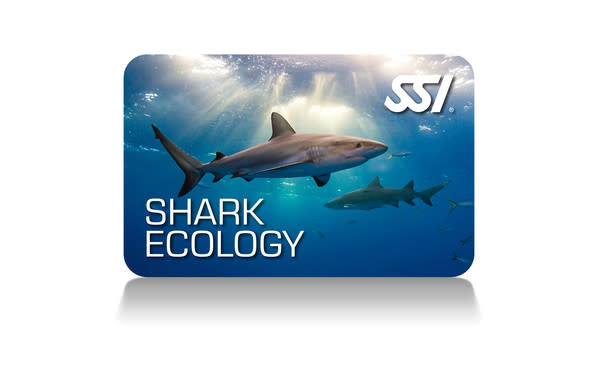 Force-E Scuba Centers Shark Ecology Course