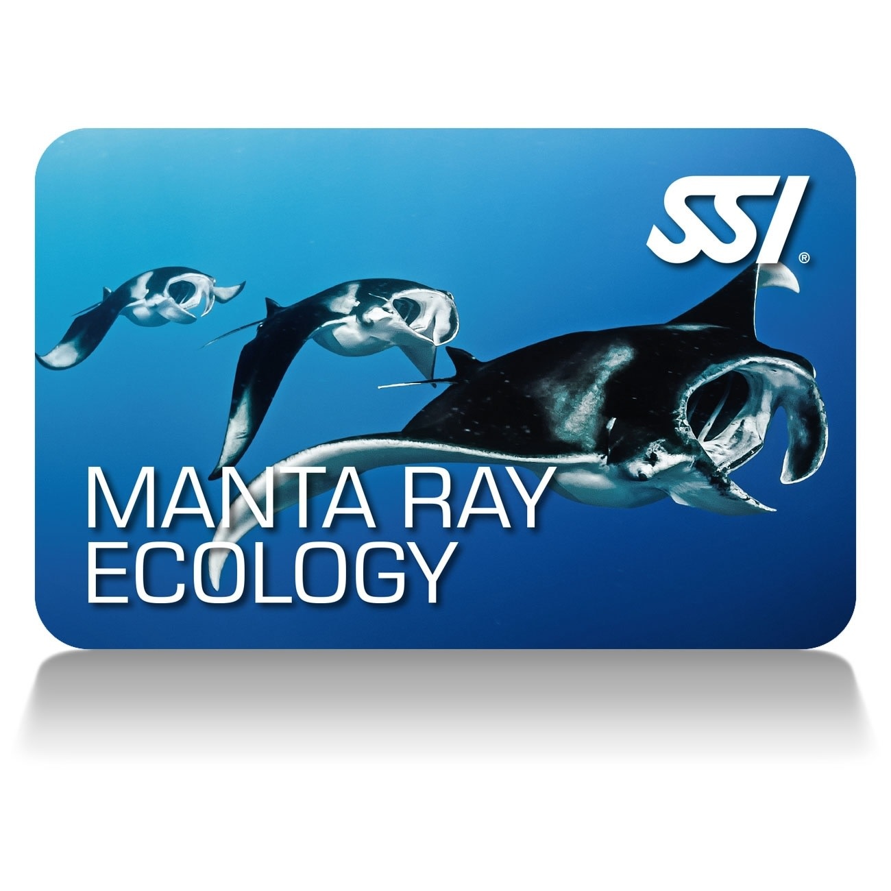 Force-E Scuba Centers SSI Manta & Ray Ecology Course