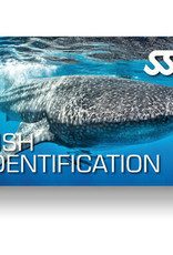 Force-E Scuba Centers SSI Fish Identification Course