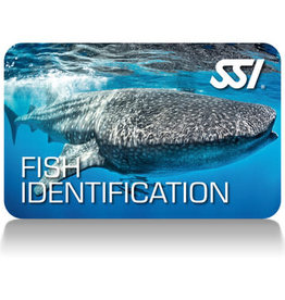 Force-E Scuba Centers SSI Fish Identification Course