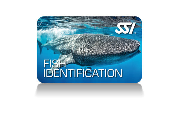 Force-E Scuba Centers SSI Fish Identification Course