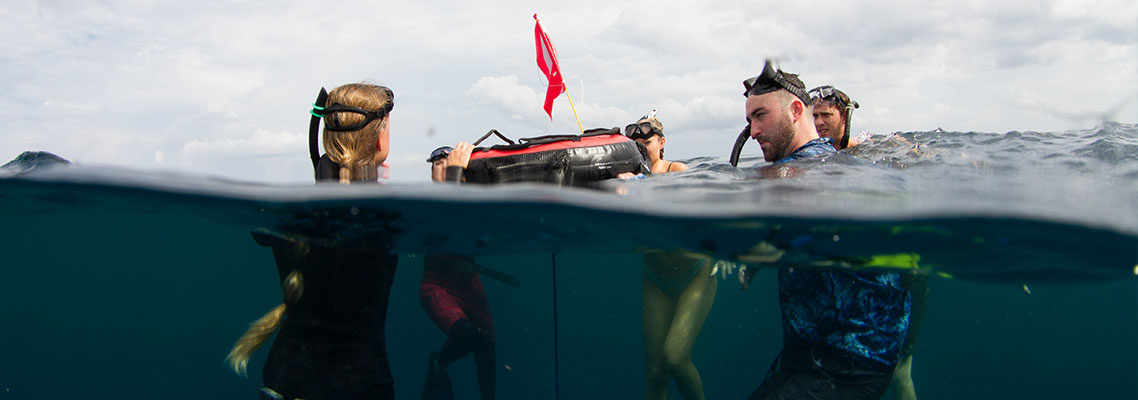 Why SCUBA Divers Should Take a Freediving Course