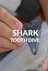 Force-E Scuba Centers Shark Tooth Dive