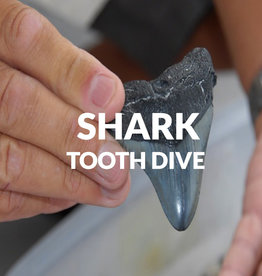 Force-E Scuba Centers Shark Tooth Dive