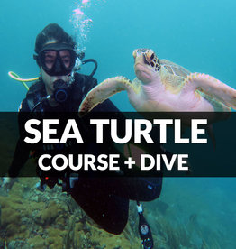 Force-E Scuba Centers Sea Turtle Ecology Course + Dive