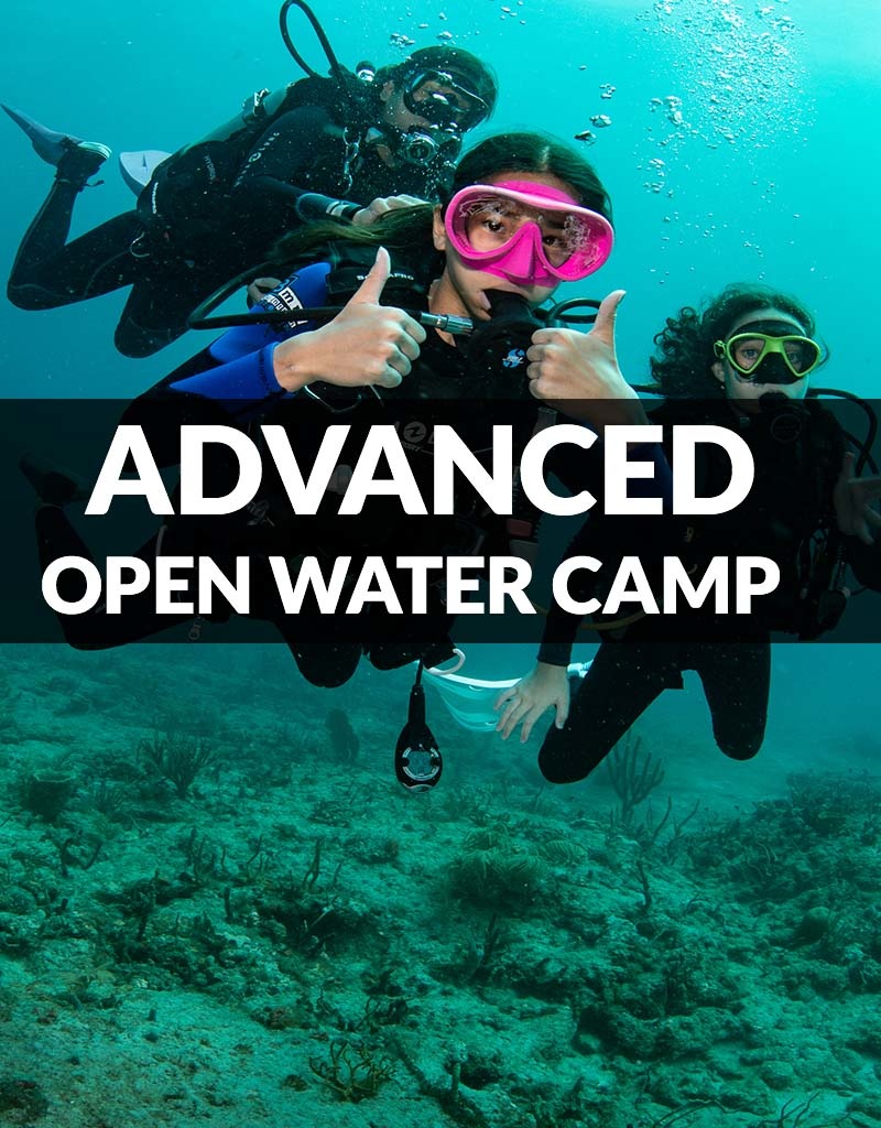 Force-E Scuba Centers Advanced Scuba Camp