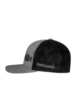 Born of Water Born of Water Speared Black Grouper Trucker Hat