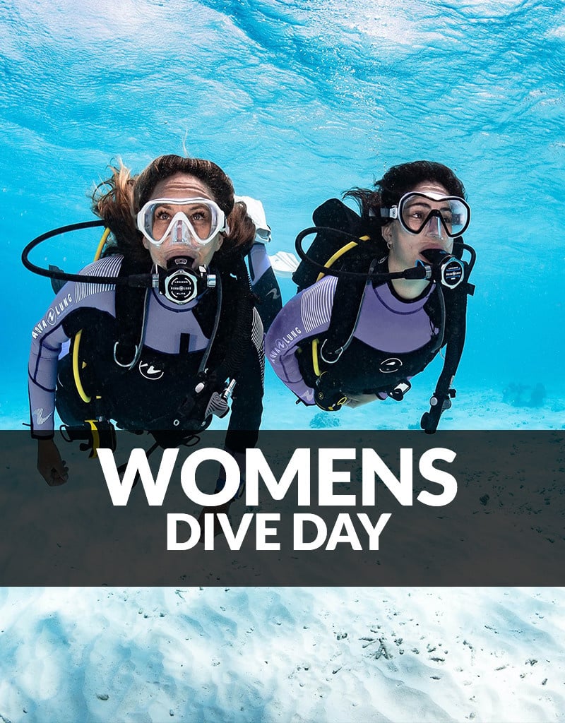Force-E Scuba Centers Women's Dive Day