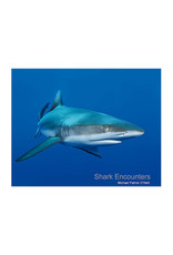 Batfish Books Batfish Books Shark Encounters