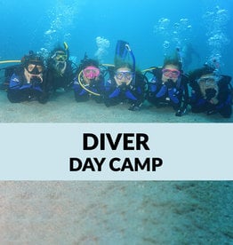 Force-E Scuba Centers Certified Diver Day Camp-Pompano