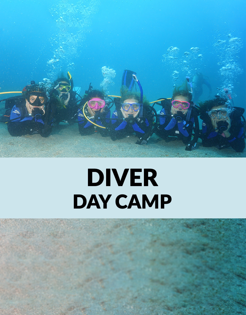 Force-E Scuba Centers Certified Diver Day Camp-Riviera