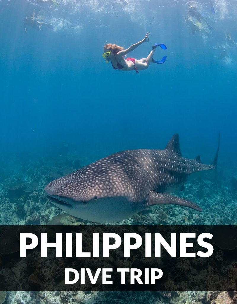 Force-E Scuba Centers Philippines Dive Trip Nov 2023 -ONLY upgraded rooms left!